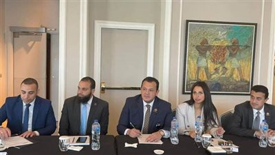 تنسيقية شباب الأحزاب تشارك فى مائدة مستديرة حول الإستراتيجية الوطنية لحقوق الإنسان