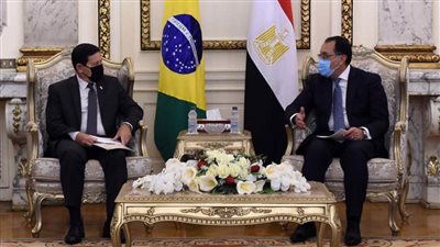 نائب الرئيس البرازيلي: القاهرة شريك هام لنا في إفريقيا والعالم العربي