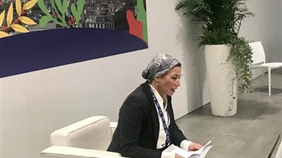 عبر الفيديو كونفرانس وزيرة البيئة تترأس الملتقى الخاص بتحالف عمل التكيف “AAC”