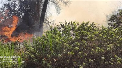إخماد حريق هائل اندلع بجزيرة الشعير بالقناطر الخيرية