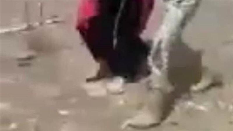 لحظة تحرير الضحية