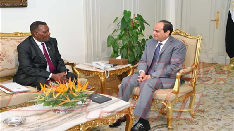 السيسي يبحث العلاقات