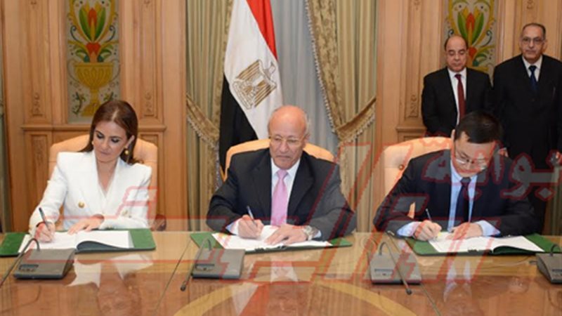 لأول مرة في مصر..