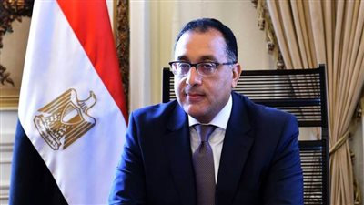 مدبولي يلتقي عميد الدراسات العليا بكلية الطب بجامعة هارفارد والسفير الأمريكى بالقاهرة