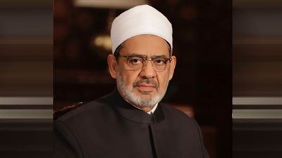 شيخ الأزهر يستقبل وزير التسامح الإماراتي في العاصمة الإيطالية روما