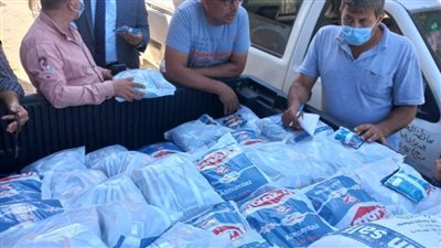 ضبط ٥ أطنان سمسم مجهول المصدر وكمية مبيدات زراعية محظور تداولها بالبحيرة