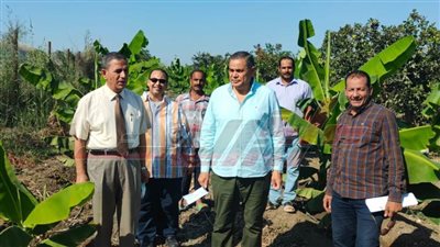 رئيس جامعة كفر الشيخ يتفقد المزرعة التعليمية والبحثية لكلية الزراعة