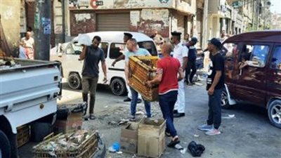 حملات لضبط المخالفات وإزالة الاشغالات بحي وسط في الإسكندرية