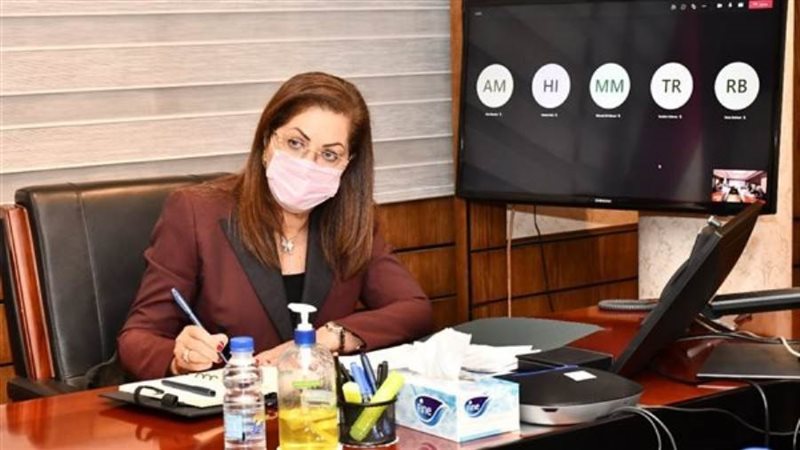 وزيرة التخطيط