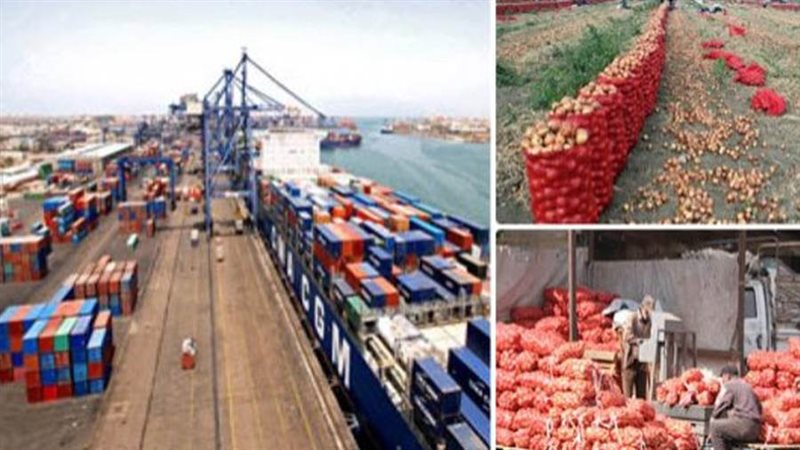 ارتفاع صادرات مصر