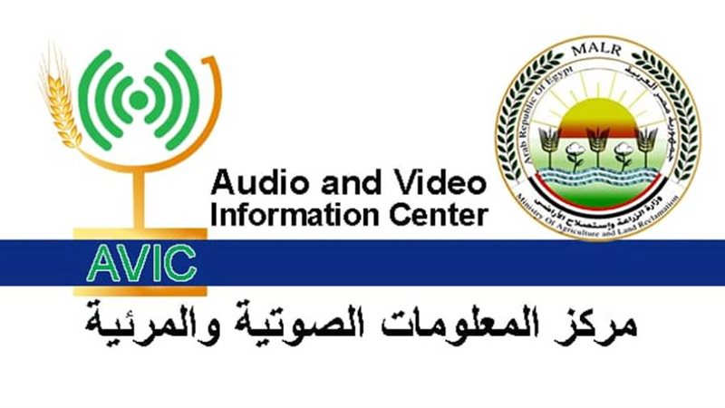 مركز المعلومات الصوتية