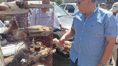 القاهرة تواصل حملتها لمنع بيع الحيوانات البرية والزواحف