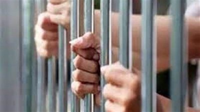 ضبط اثنين من العناصر الإجرامية بسوهاج لقيامهما بالاتجار في المخدرات