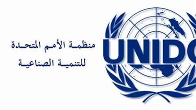 مدير مشروع النمو الأخضر بمنظمة 