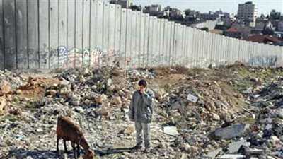 فلسطين تحمل إسرائيل مسؤولية تدهور البيئة ونضوب المصادر الطبيعية داخل أراضيها