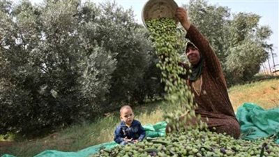 عاجل| أتباع 