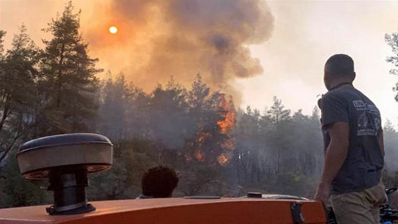 إندلاع حرائق غابات