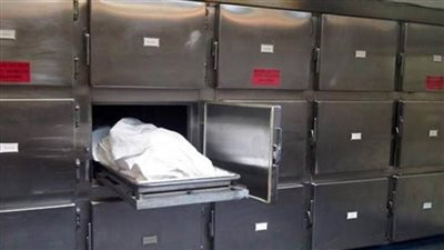 مصرع طفلين شقيقين إثر اندلاع حريق بمنزلهما بالشرقية 