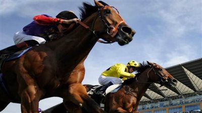 فى ذكرى مولده الكريم.. السيرة النبوية فى ممارسة الرياضة ونبذ التعصب 