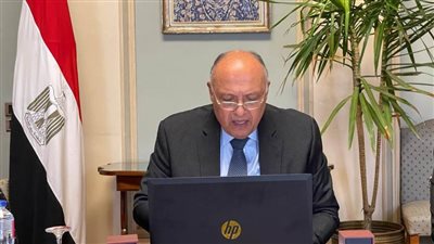 وزير الخارجية‬⁩ يشارك نيابةً عن الرئيس السيسي في الاجتماع النصف سنوي للاتحاد الإفريقي والتجمعات الاقتصادية