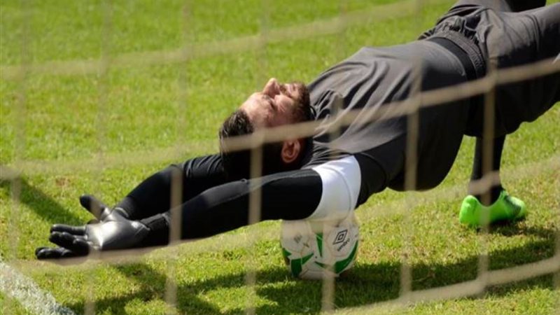 محمد أبو جبل