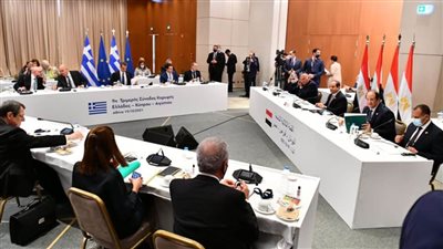 الرئيس القبرصي يشيد بتطابق المواقف بين مصر وقبرص واليونان