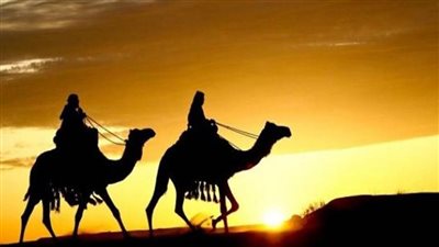 في ذكرى مولده .. حب الوطن في قلب رسول الله ووصاياه عن مصر