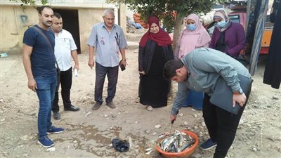 إعدام أسماك مملحة فاسدة خلال حملة بالدقهلية