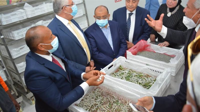 وزير التنمية المحلية