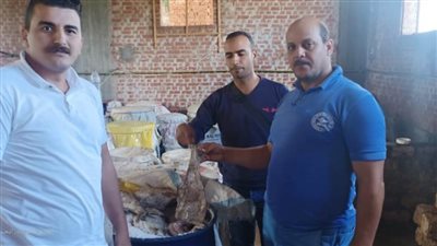 ضبط ١٦ طن أسماك مملحة غير صالحة للاستهلاك الآدمي بالبحيرة 