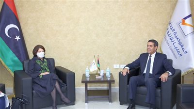 نائبة الأمين العام للأمم المتحدة تؤكد دعم الامم المتحدة لاجراء الانتخابات في ليبيا 