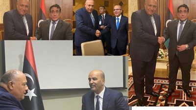 شكري: يلتقي رئيس المجلس الرئاسي بنائبيه 