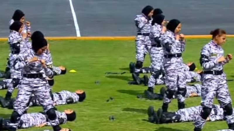 الفنون القتالية بكلية