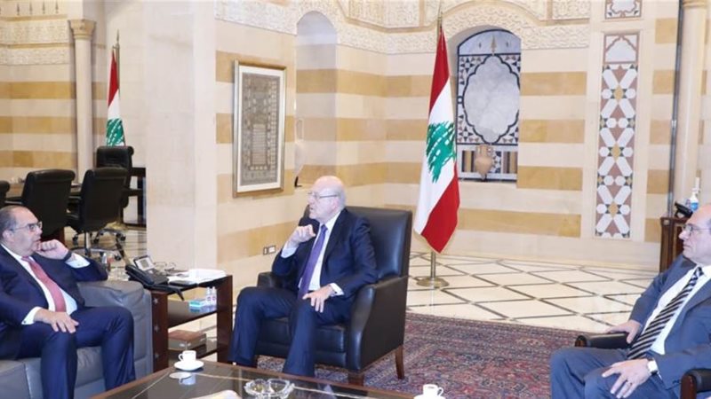 الدكتور محمود محيي