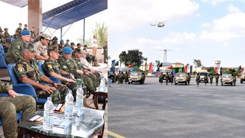 حماة الصداقة