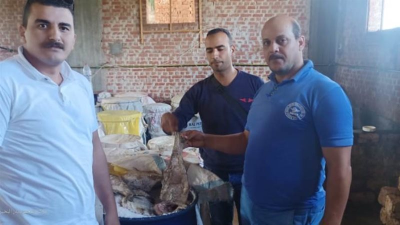 أسماك مملحة غير صالحة