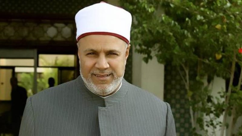 الدكتور محمد أبو