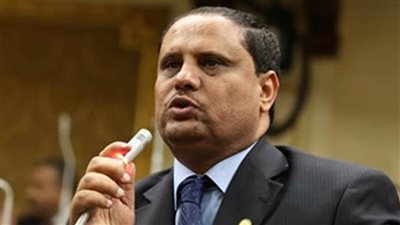 النائب رزق جالي: رؤية وزير الأوقاف للمعاملة مع السياح فهم ثاقب لصحيح الدين