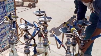 مصادرة ١٤٥ شيشة وتحرير ١٦ محضرا متنوعا في حملة بالبحيرة