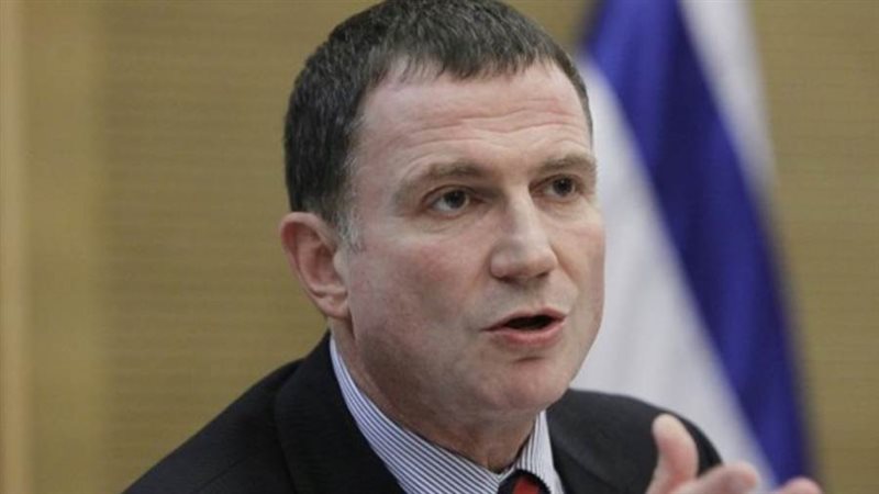 يولي إدلشتين