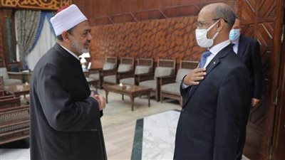 الإمام الأكبر: حريصون على تعزيز التعاون العلمي مع موريتانيا