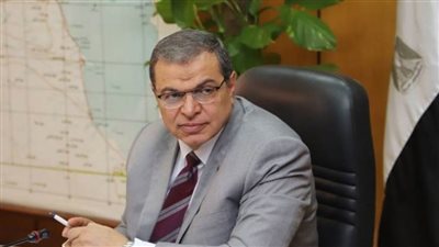 وزير القوى العاملة يؤكد أهمية دور منظمة العمل العربية بكافة المجالات