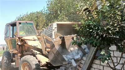 محافظ أسيوط: إزالة 16 حالة تعدٍّ على أراضٍ زراعية وأملاك دولة بمركز أبوتيج