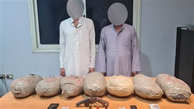 ضبط 25 كيلوجرامًا من نبات البانجو المخدر بحوزة إجراميين بالإسماعيلية 