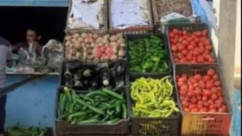 توفير منتجات الصوب