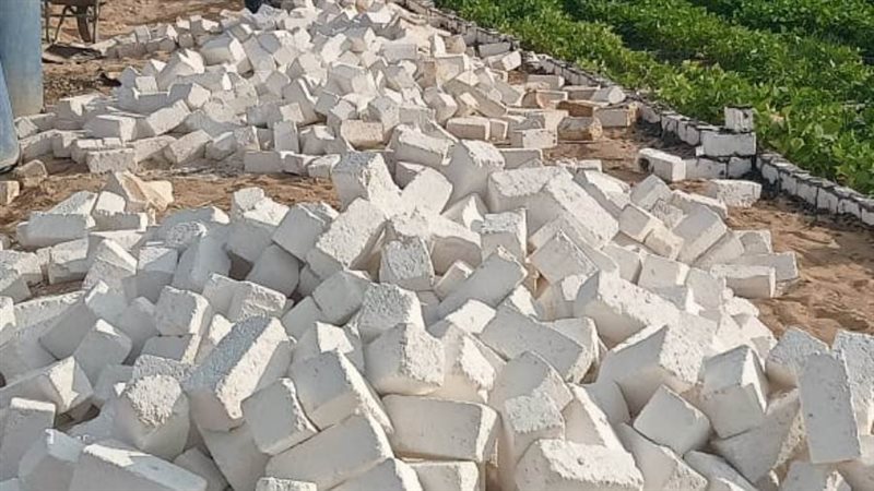 إزالة التعديات بالبحيرة