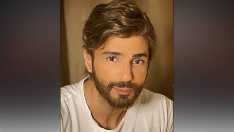 الفنان شادي شامل