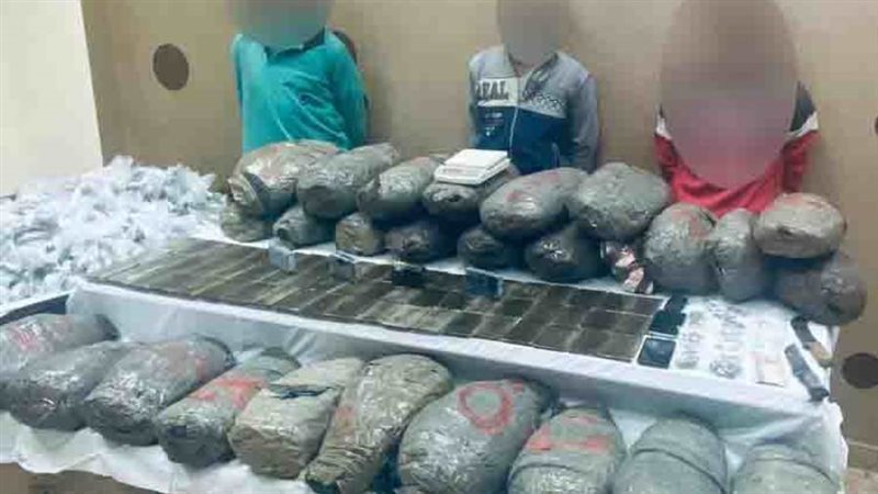 ضبط عناصر إجرامية