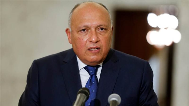 سامح شكري وزير الخارجية