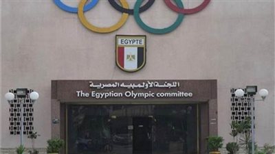 الخميس بدء ماراثون انتخابات الاتحادات الرياضية بالسباحة والفروسية والتجديف